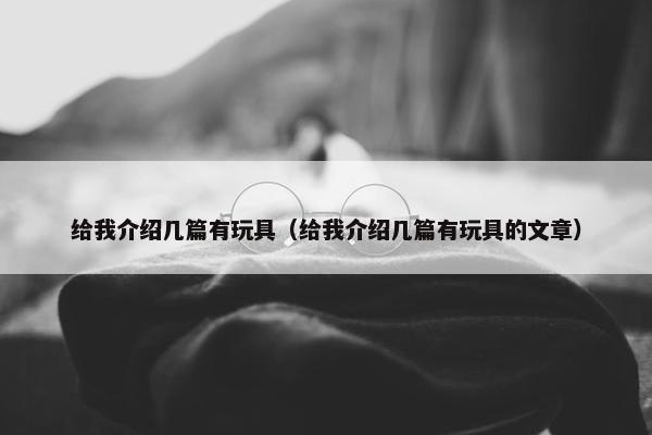 给我介绍几篇有玩具（给我介绍几篇有玩具的文章）