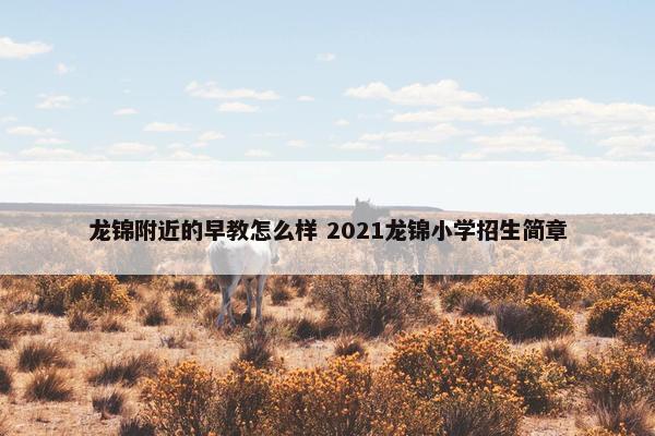 龙锦附近的早教怎么样 2021龙锦小学招生简章