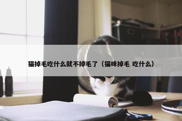 猫掉毛吃什么就不掉毛了（猫咪掉毛 吃什么）