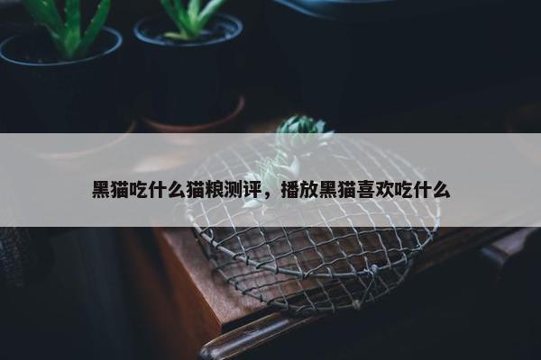 黑猫吃什么猫粮测评，播放黑猫喜欢吃什么