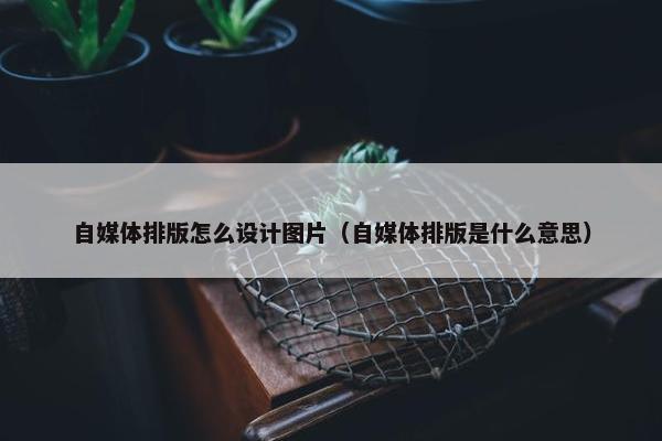 自媒体排版怎么设计图片（自媒体排版是什么意思）