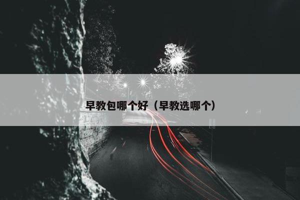 早教包哪个好（早教选哪个）