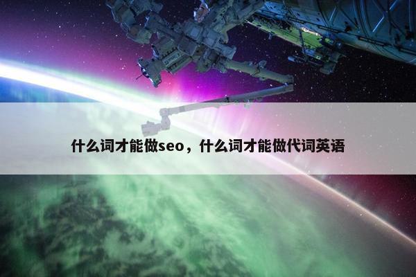 什么词才能做seo，什么词才能做代词英语