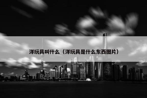 洋玩具叫什么（洋玩具是什么东西图片）