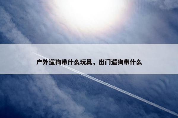 户外遛狗带什么玩具，出门遛狗带什么