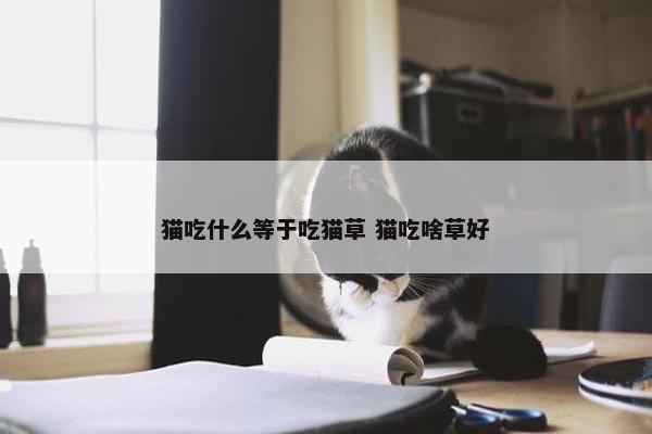 猫吃什么等于吃猫草 猫吃啥草好