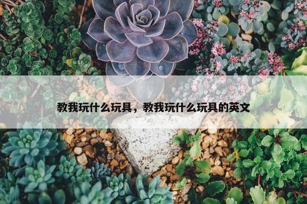 教我玩什么玩具，教我玩什么玩具的英文