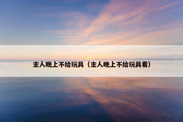 主人晚上不给玩具（主人晚上不给玩具看）