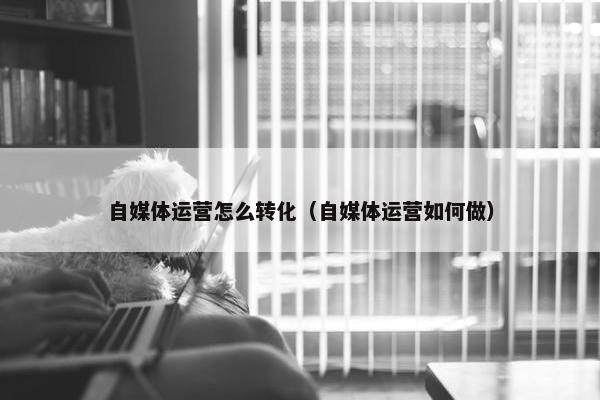 自媒体运营怎么转化（自媒体运营如何做）