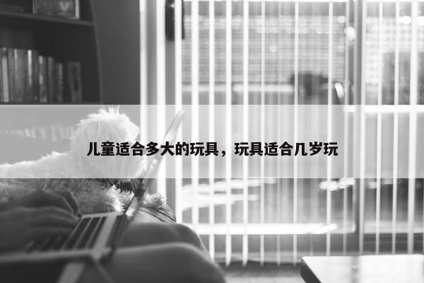 儿童适合多大的玩具，玩具适合几岁玩