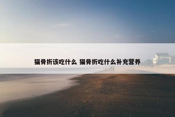 猫骨折该吃什么 猫骨折吃什么补充营养