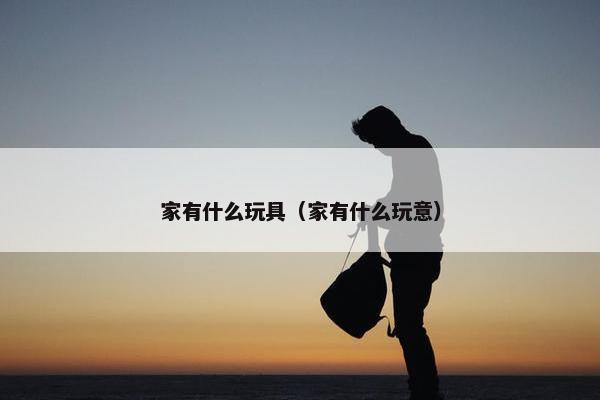 家有什么玩具（家有什么玩意）