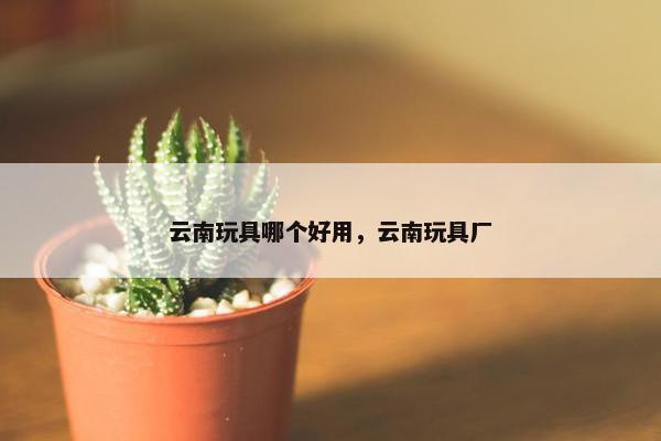 云南玩具哪个好用，云南玩具厂