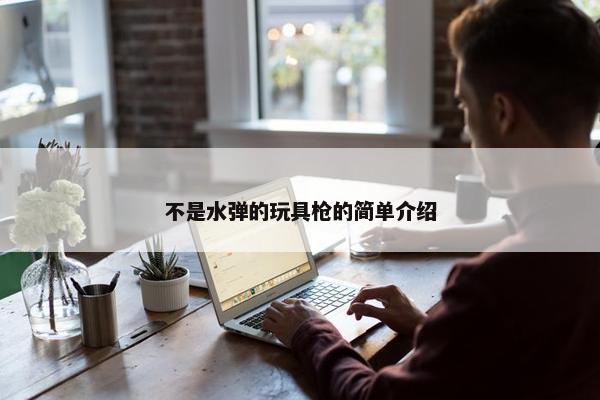 不是水弹的玩具枪的简单介绍