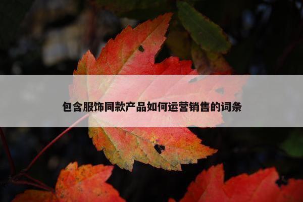 包含服饰同款产品如何运营销售的词条