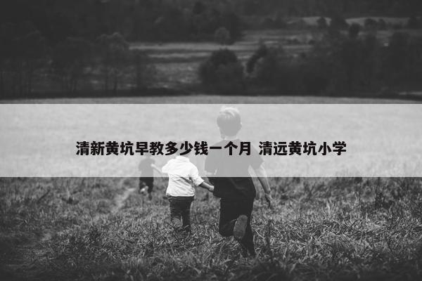 清新黄坑早教多少钱一个月 清远黄坑小学