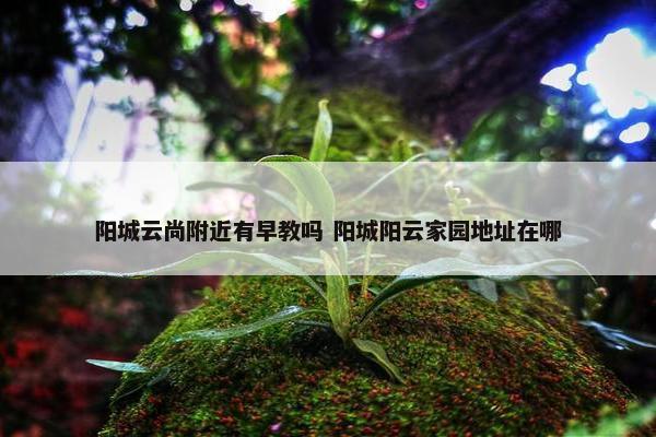 阳城云尚附近有早教吗 阳城阳云家园地址在哪