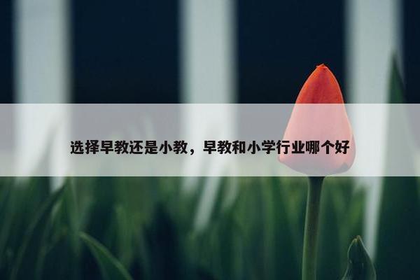 选择早教还是小教，早教和小学行业哪个好