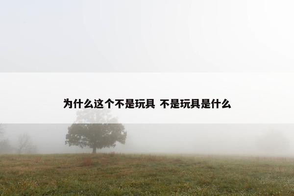 为什么这个不是玩具 不是玩具是什么