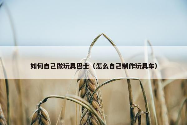 如何自己做玩具巴士（怎么自己制作玩具车）