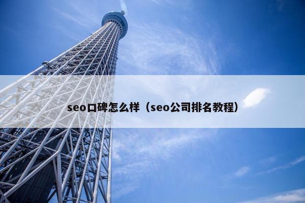 seo口碑怎么样（seo公司排名教程）