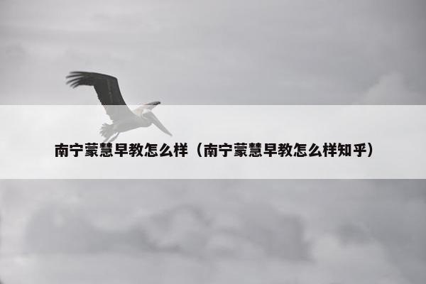 南宁蒙慧早教怎么样（南宁蒙慧早教怎么样知乎）