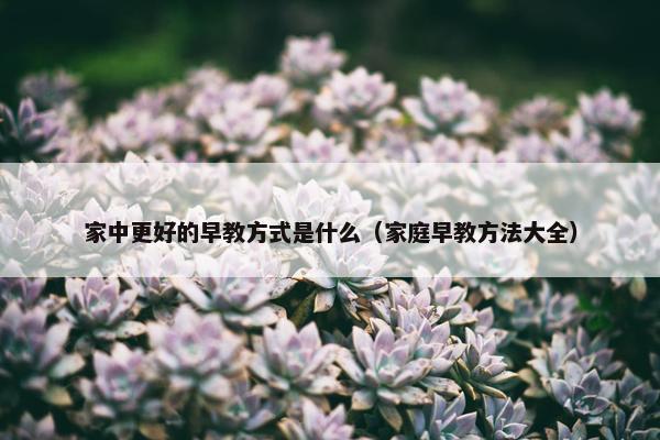 家中更好的早教方式是什么（家庭早教方法大全）