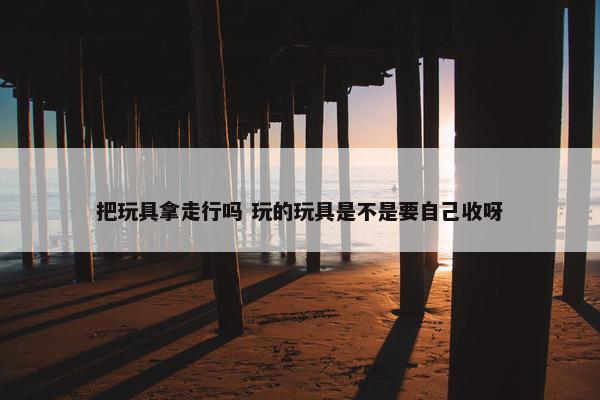 把玩具拿走行吗 玩的玩具是不是要自己收呀