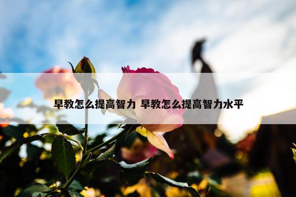 早教怎么提高智力 早教怎么提高智力水平