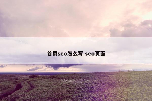 首页seo怎么写 seo页面