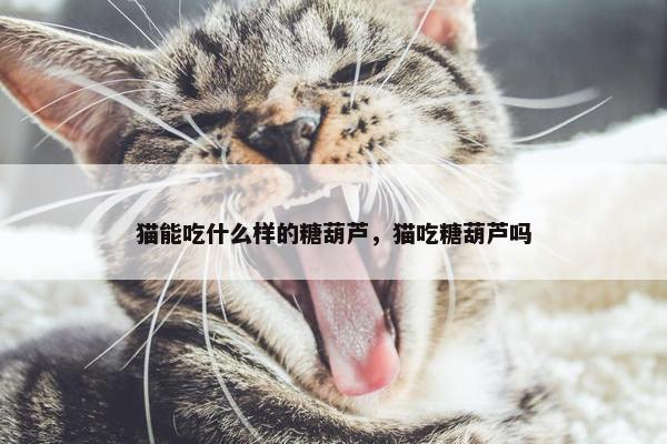 猫能吃什么样的糖葫芦，猫吃糖葫芦吗