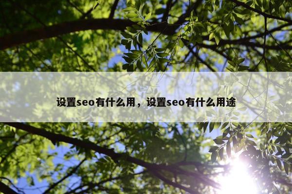 设置seo有什么用，设置seo有什么用途