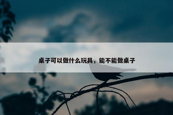 桌子可以做什么玩具，能不能做桌子