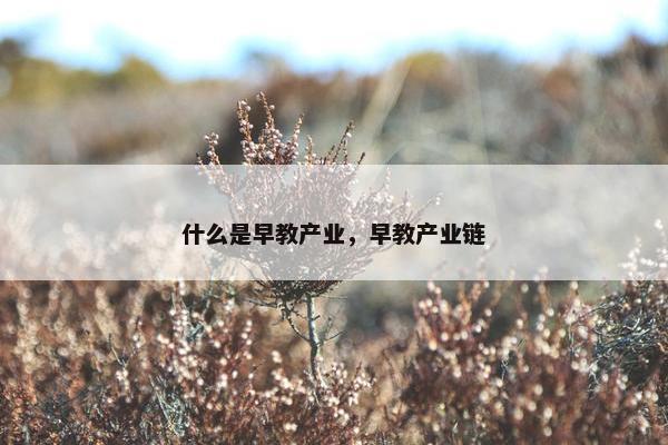 什么是早教产业，早教产业链