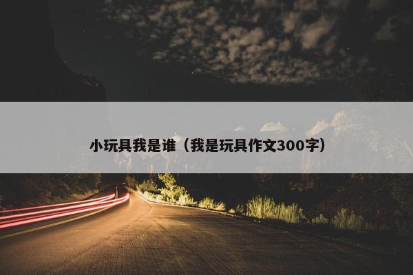 小玩具我是谁（我是玩具作文300字）