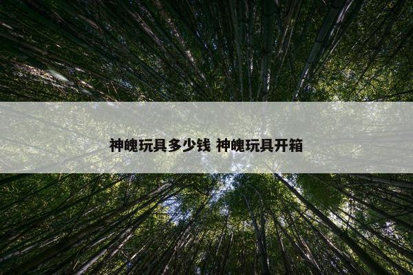 神魄玩具多少钱 神魄玩具开箱