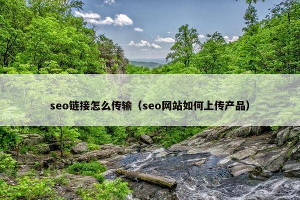 seo链接怎么传输（seo网站如何上传产品）