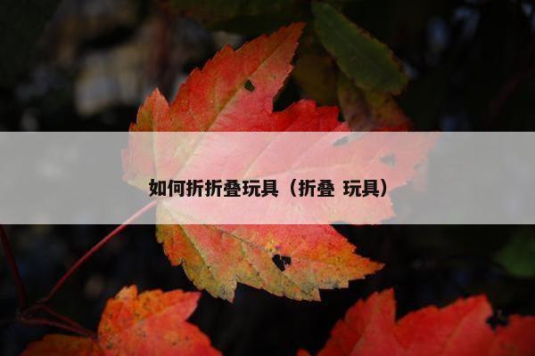 如何折折叠玩具（折叠 玩具）