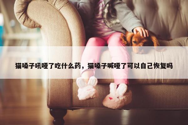 猫嗓子吼哑了吃什么药，猫嗓子喊哑了可以自己恢复吗