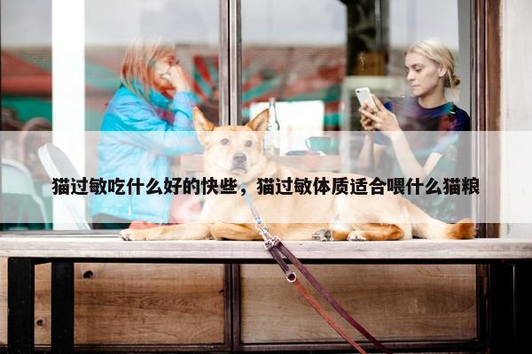 猫过敏吃什么好的快些，猫过敏体质适合喂什么猫粮