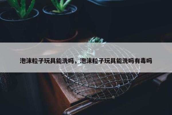 泡沫粒子玩具能洗吗，泡沫粒子玩具能洗吗有毒吗