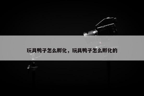 玩具鸭子怎么孵化，玩具鸭子怎么孵化的