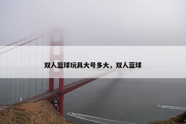 双人篮球玩具大号多大，双人蓝球