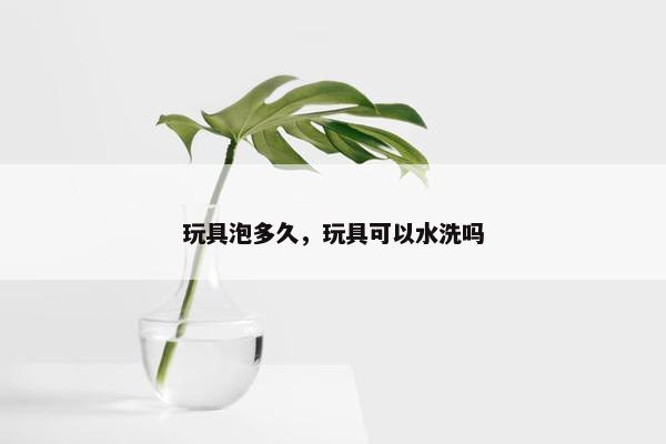 玩具泡多久，玩具可以水洗吗