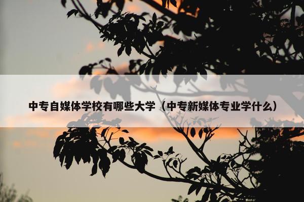 中专自媒体学校有哪些大学（中专新媒体专业学什么）