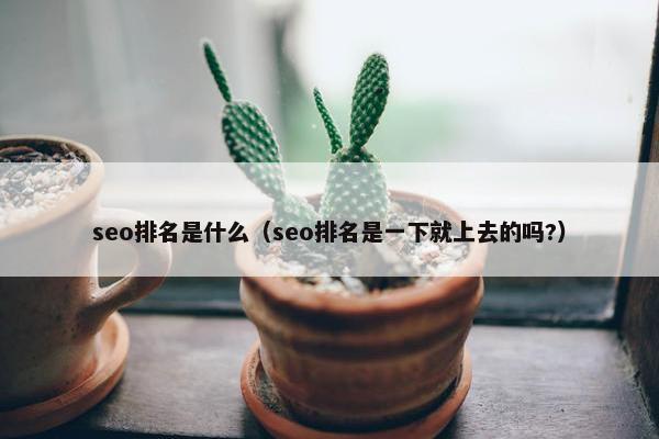 seo排名是什么（seo排名是一下就上去的吗?）