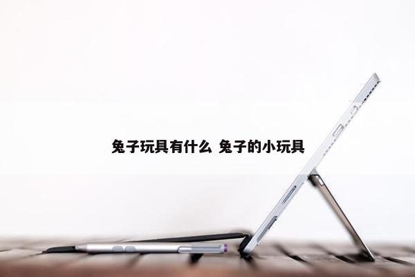 兔子玩具有什么 兔子的小玩具