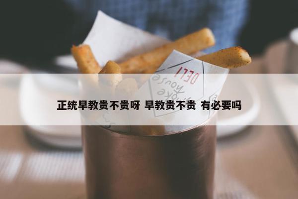 正统早教贵不贵呀 早教贵不贵 有必要吗