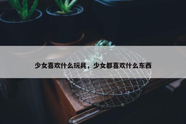 少女喜欢什么玩具，少女都喜欢什么东西