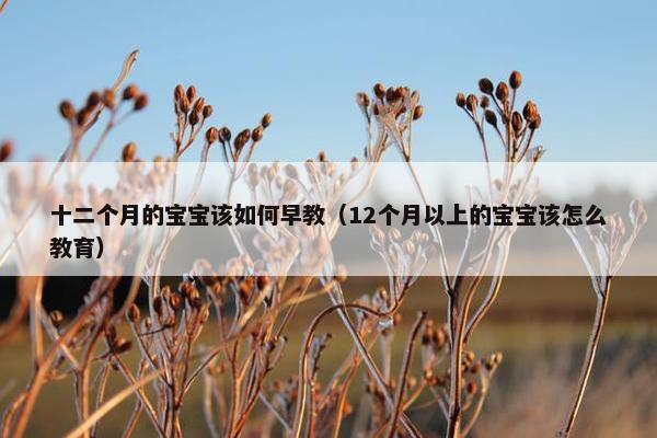 十二个月的宝宝该如何早教（12个月以上的宝宝该怎么教育）